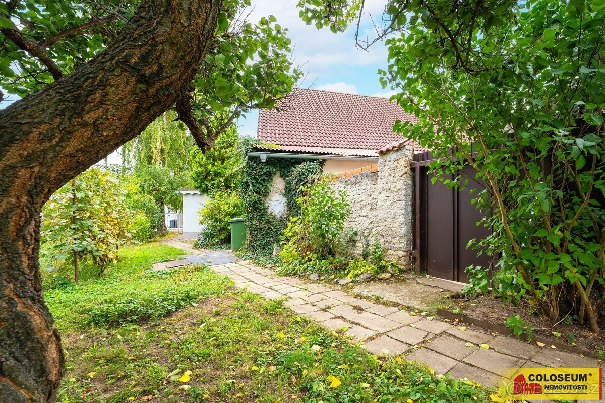 Hrušovany nad Jevišovkou, RD 3+kk, garáž, sklep, zahrada - r - 12