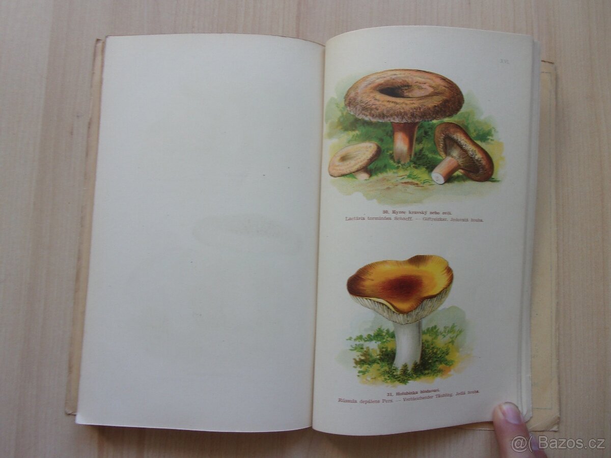 JAN JOHN - PŘÍRODOPIS HUB - HOUBY JEDLÉ A JEDOVATÉ - 12