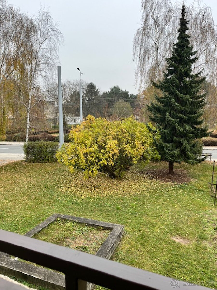 Pronájem bytu 3+1, Jiřího Potůčka, Trnová, 17.000 Kč/měs, 7 - 12