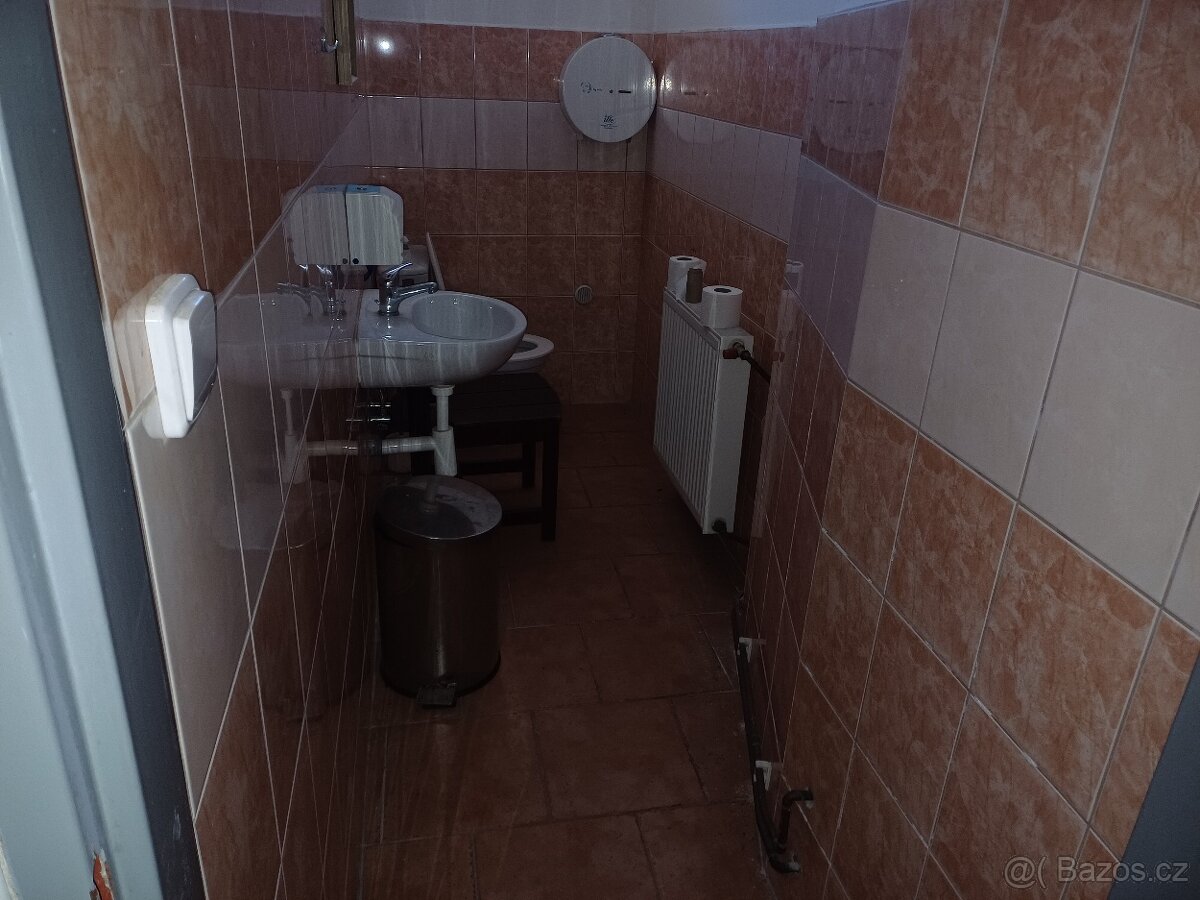 Pronájem nebytového prostoru - 12