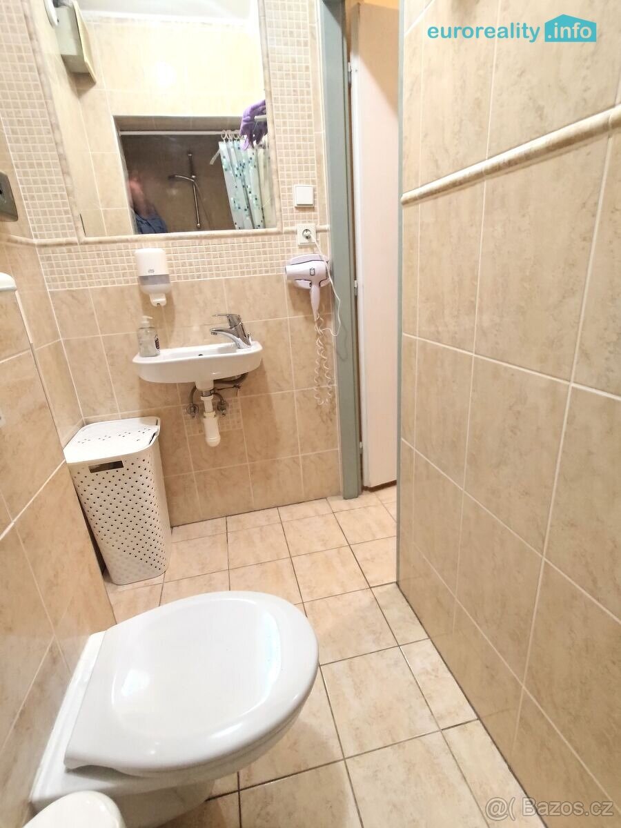 Pronájem, apartmán 2+1, 80 m2, Plzeň - město, ul. Zbrojnická - 12