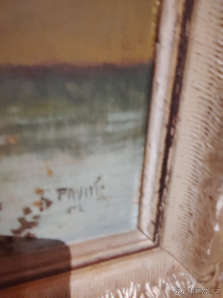 Obrazy pozůstalost - 12