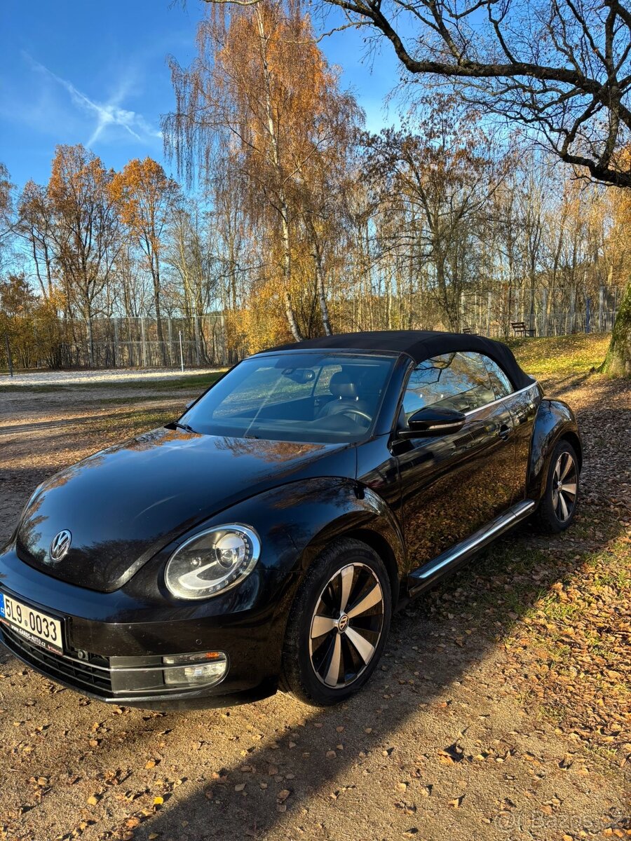 New beetle cabrio - 12