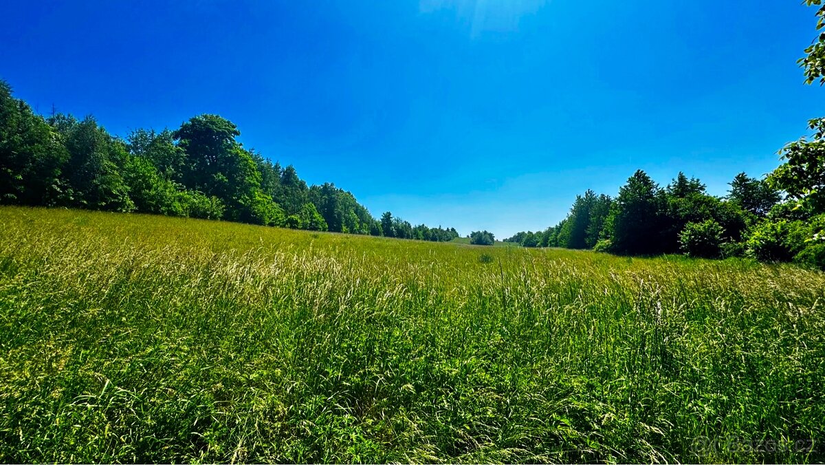 Prodej chaty, Město Albrechtice - Česká Ves - 12