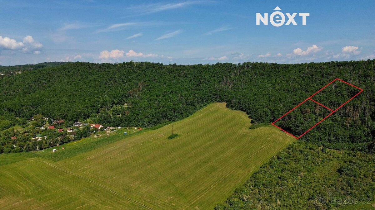 Prodej pozemek Lesy, 3149㎡ - 12