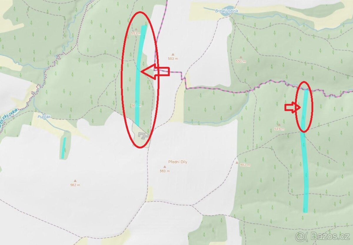 Prodám lesní pozemky v k.ú. Nesměň u Ločenic - 12