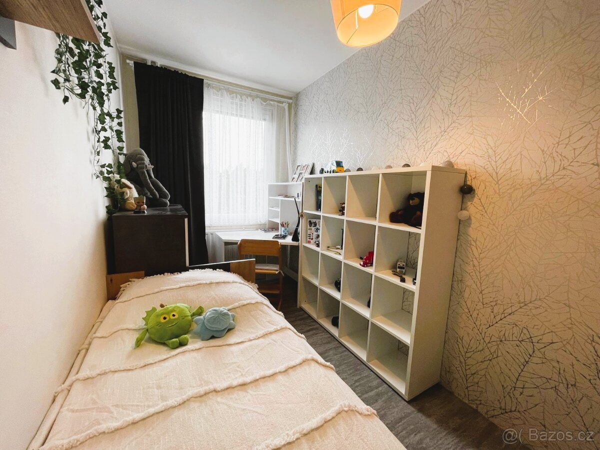 Prodej bytu po rekonstrukci, 3+1, Manětínská, Plzeň - 12