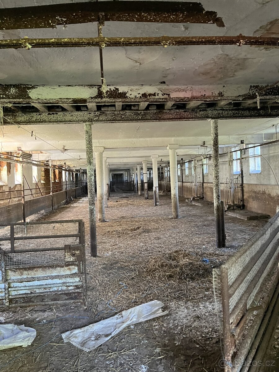 Veřejná dražba – zemědělské objekty Týček - 12