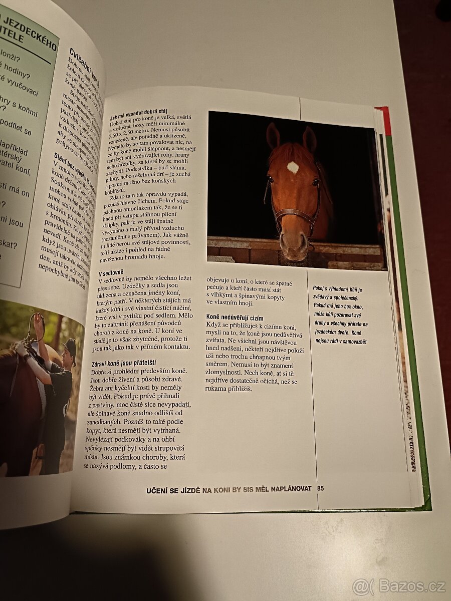 Škola jezdectví - 12
