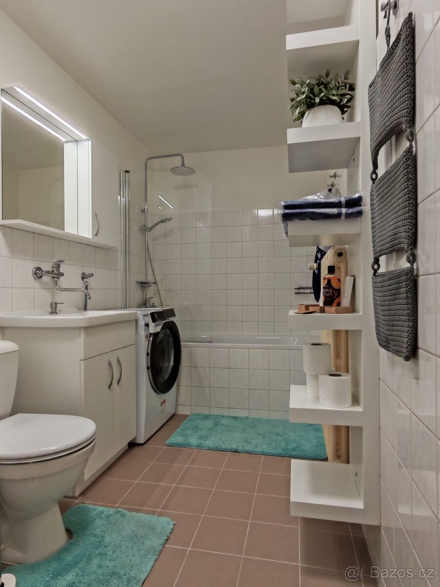 Pronájem bytu 50m2 - 12