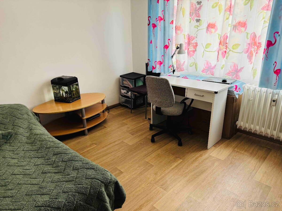 Prodej, byt 2+1, 56m2, ul. Smrková, Plzeň - město - 12