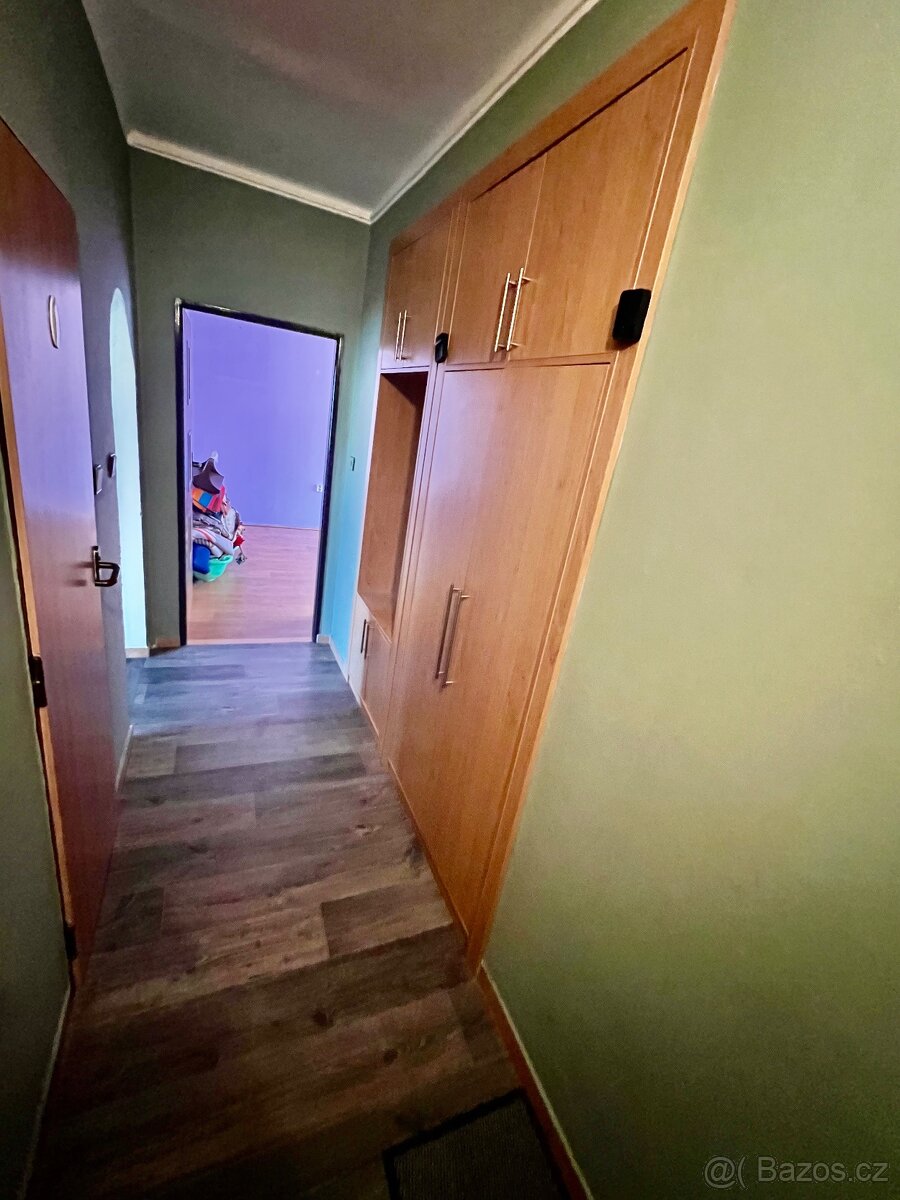 Prodej bytu 2+1, 53 m² Heyrovského - 12