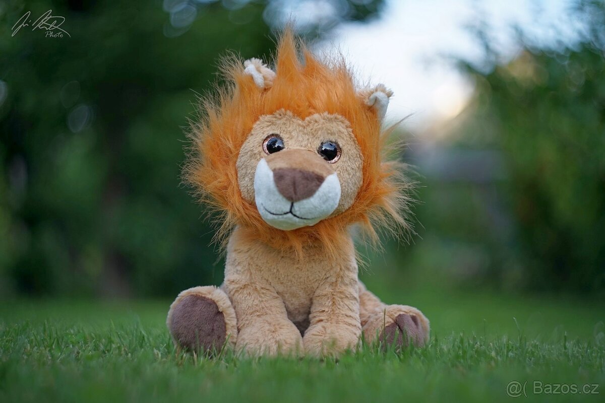 Objektiv Helios 44-2 58mm f2 M42 - 12