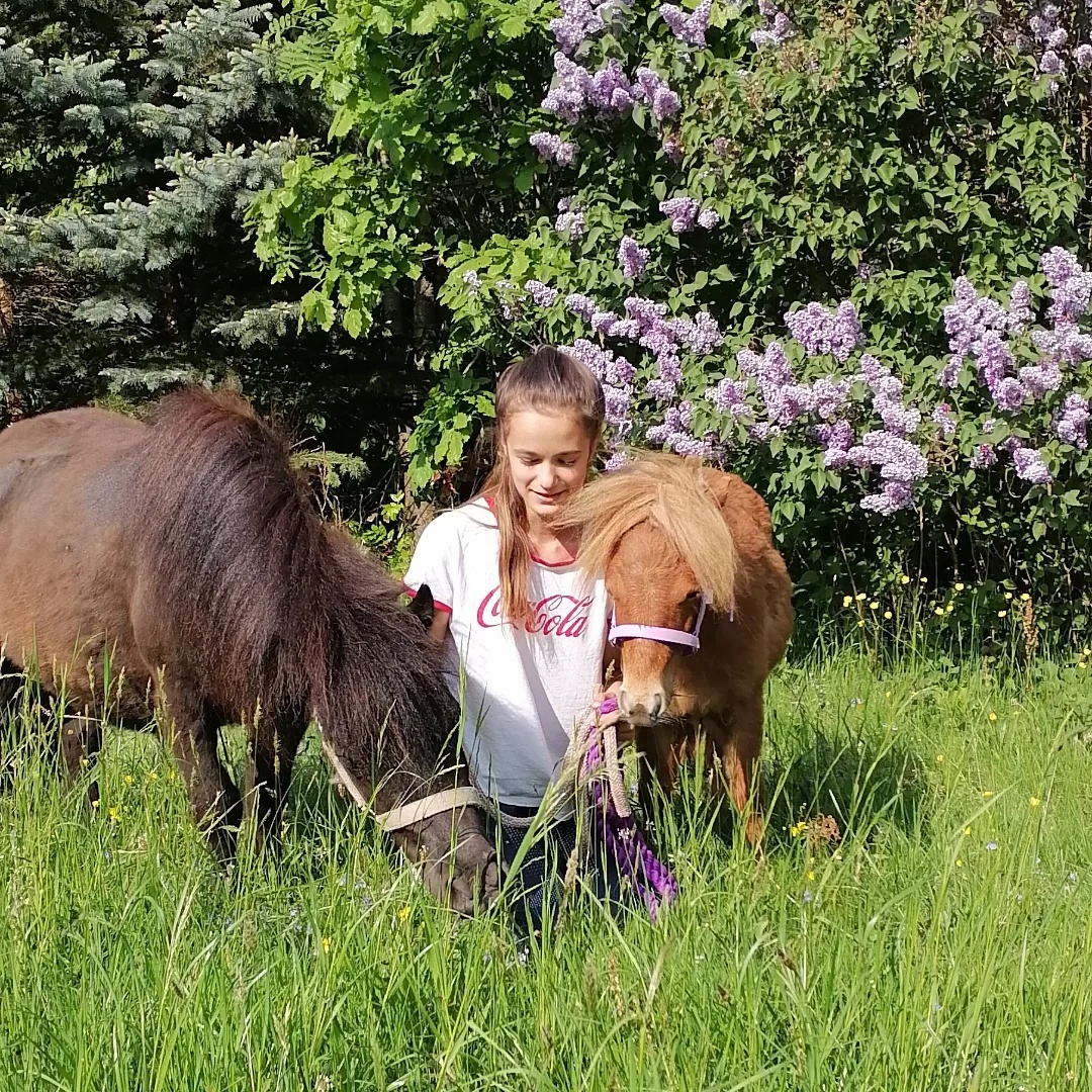 Docházka k poníkovi - 12