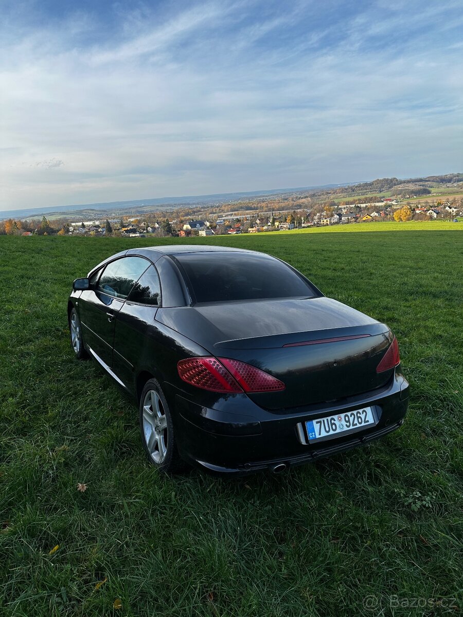 Peugeot 307cc - 12
