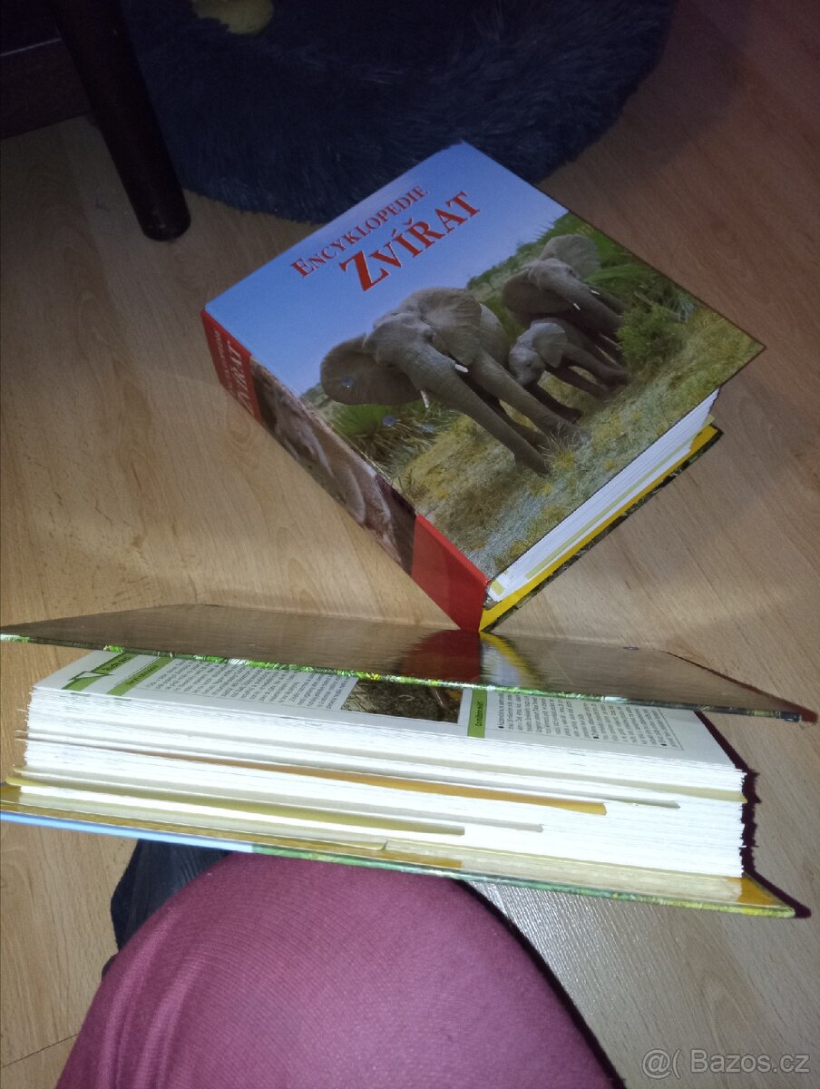 Encyklopedie pro děti i dospělé - 12