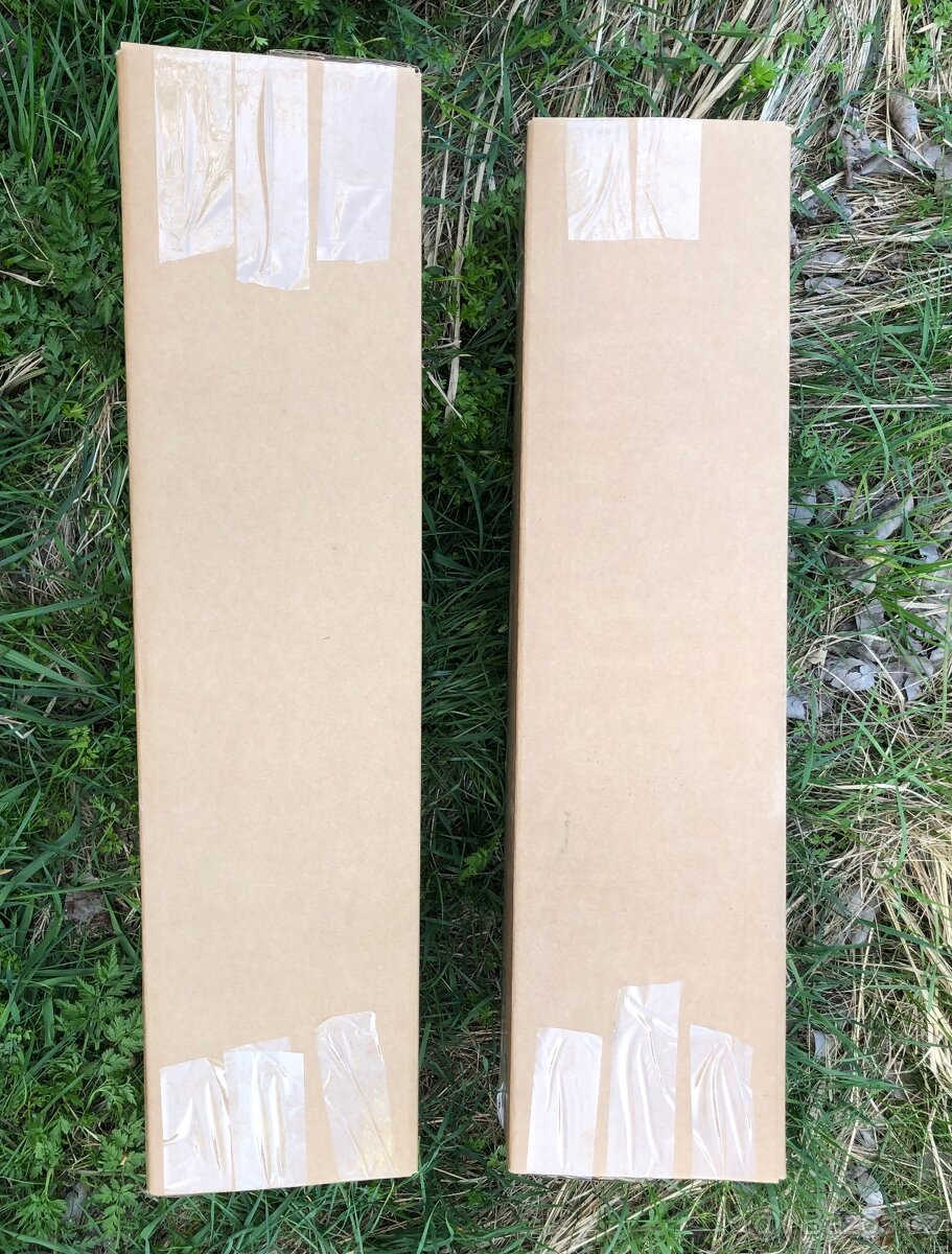 Sibiřský Cedr / Pinus Sibirica - 12