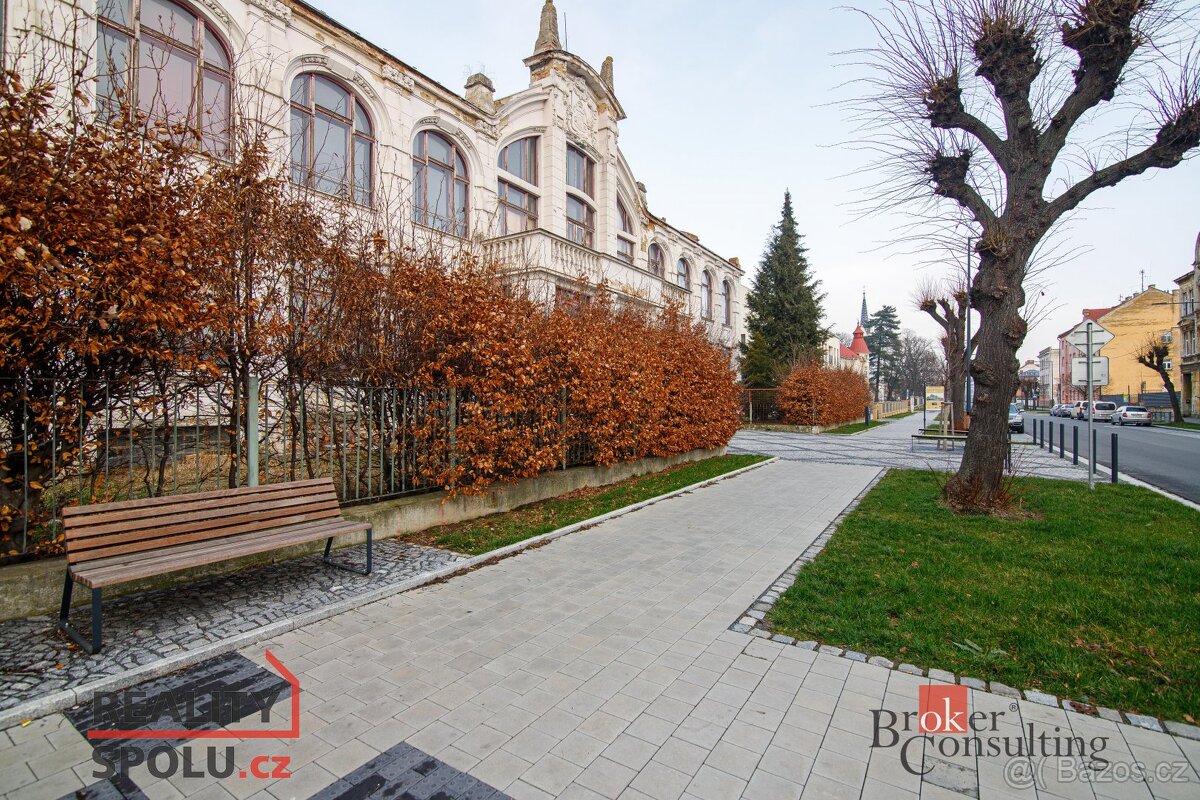 Prodej, domy/památka/jiné, 3090 m2, Mikulášská, Pod Bezručov - 12