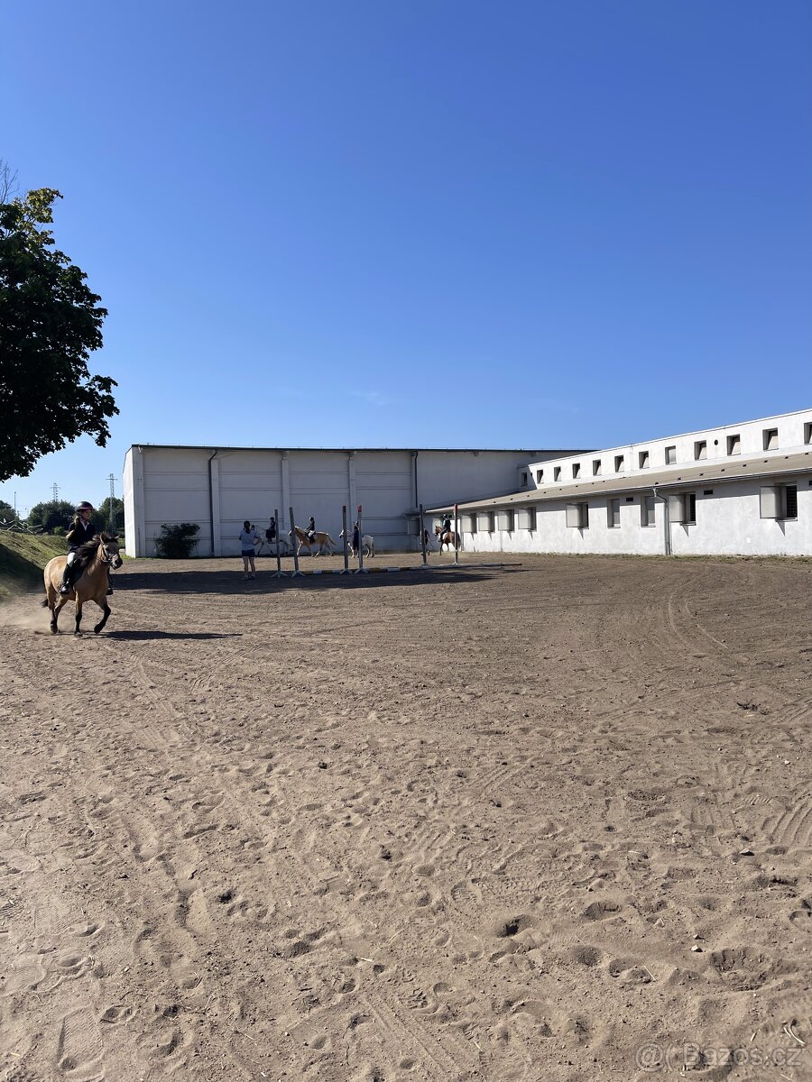 Jezdecký areál Eden – ustájení koní - 12