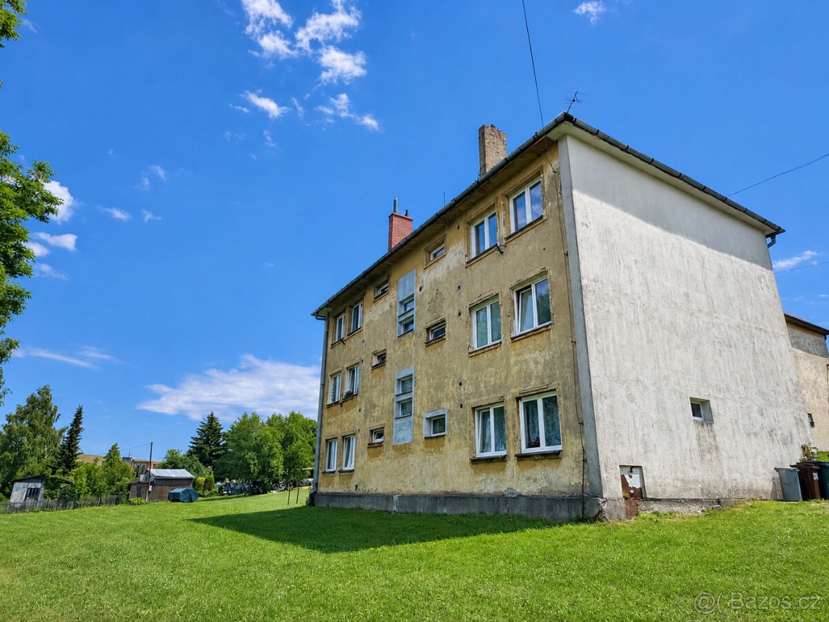 Prodej bytu 2+1, Tovární, Ryžoviště - 12