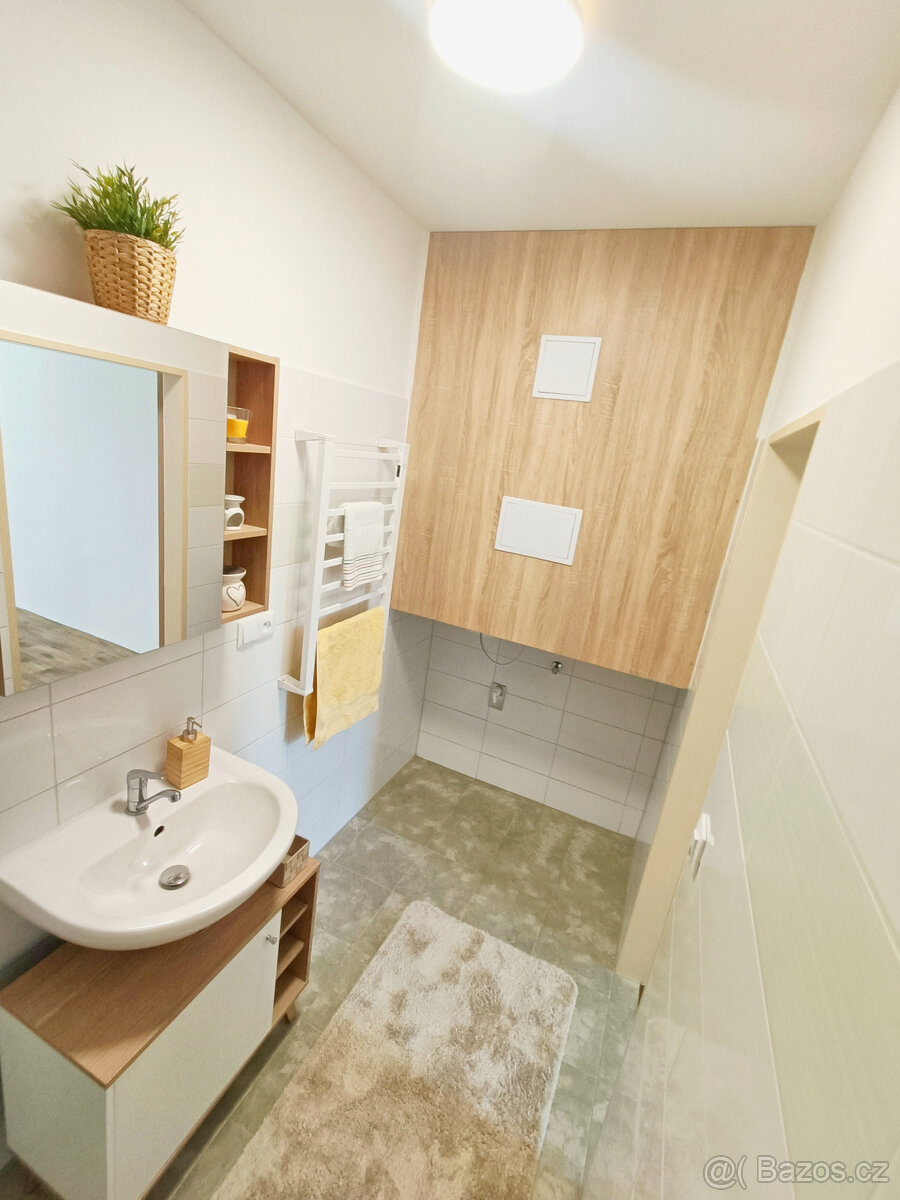 Pronájem bytu 2+1 se zahradou - 12