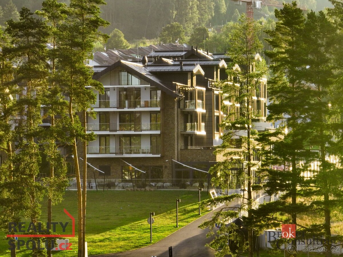 Prodej, byty/1+kk, 52.8 m2, 38278 Lipno nad Vltavou, Český K - 12