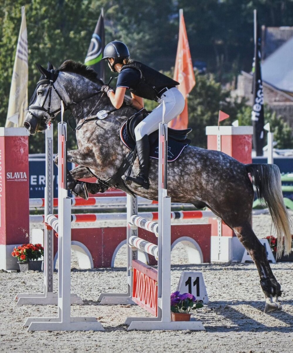 ⭐️ Krásný valášek na prodej ⭐️ - 12