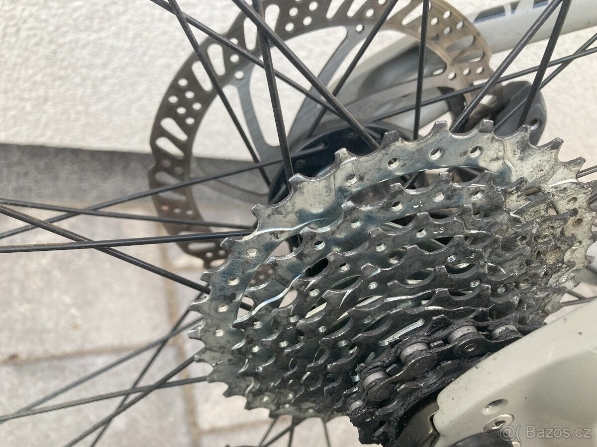 Horské kolo Head X Rubi 29 - 12