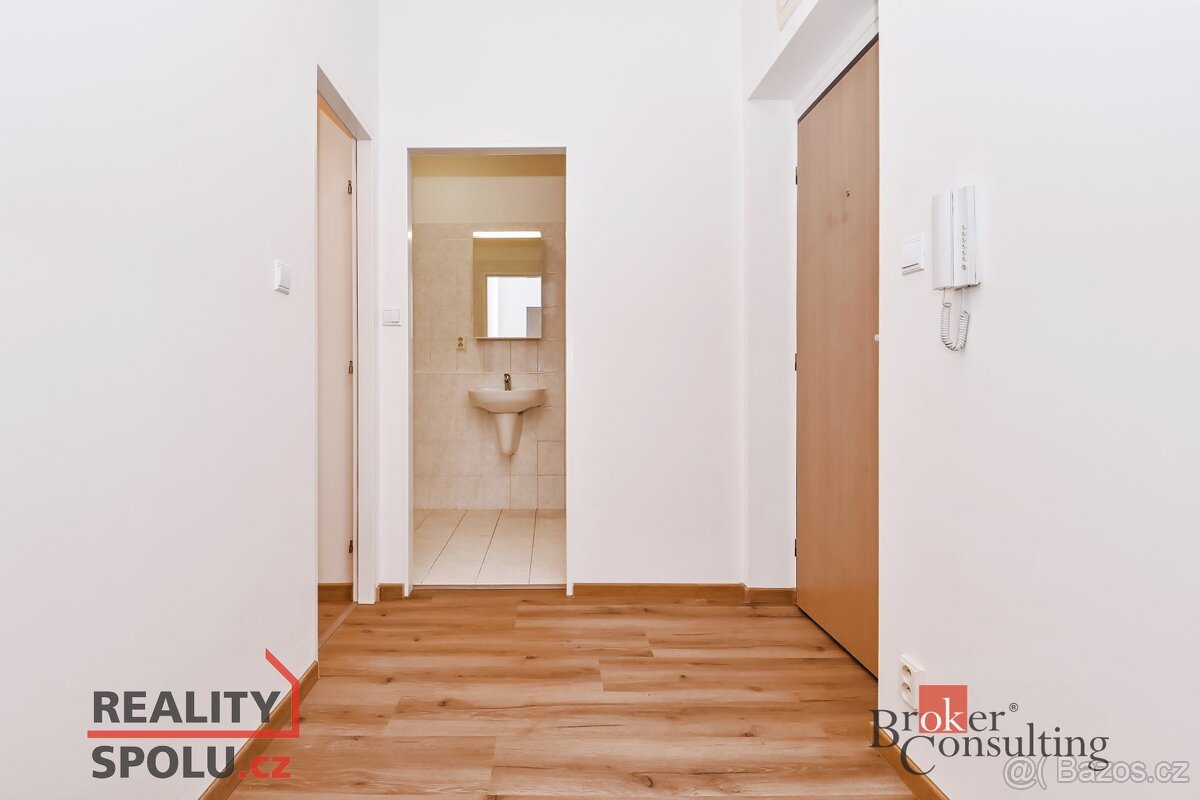 Pronájem, byty/1+kk, 53 m2, Trnkovo náměstí 1112/2, Hlubočep - 12