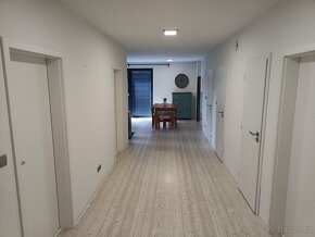 Prodej rodinného domu / stavební parcely Velké Albrechtice - 12