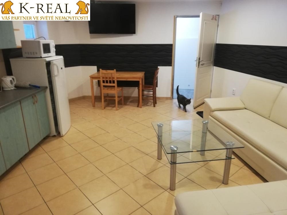 Pronájem byt 2+kk Jámy, okr. Žďár nad Sázavou - 12