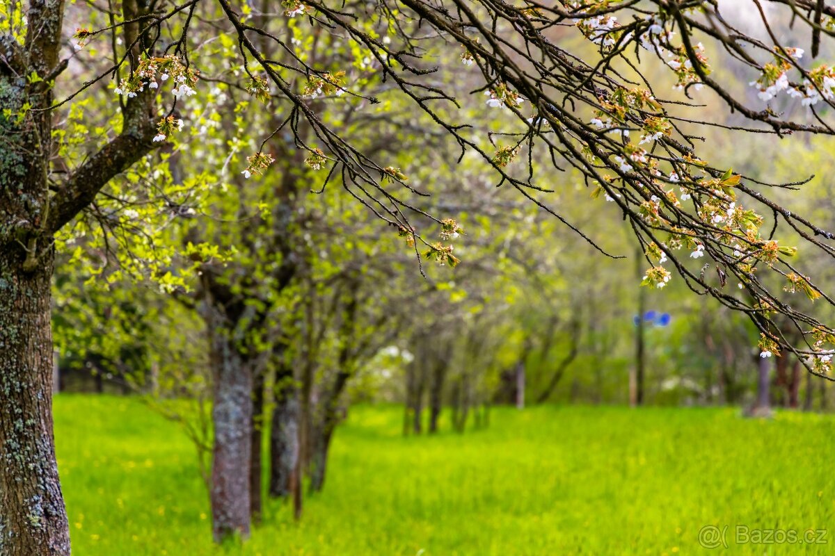 Prodej stavební parcely 2072 m2 Starý Hrozenkov - 12