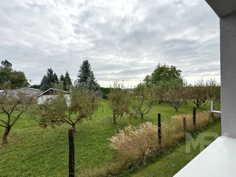 Prodej bytu 1+1 v obci Skořenice - Vrchovina - 12