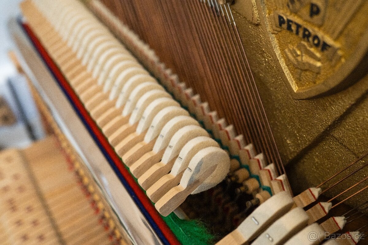 Petrof 117 Chippendale - 12