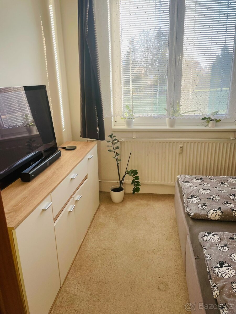 Pronájem bytu 3+1 v Bechyni - 12