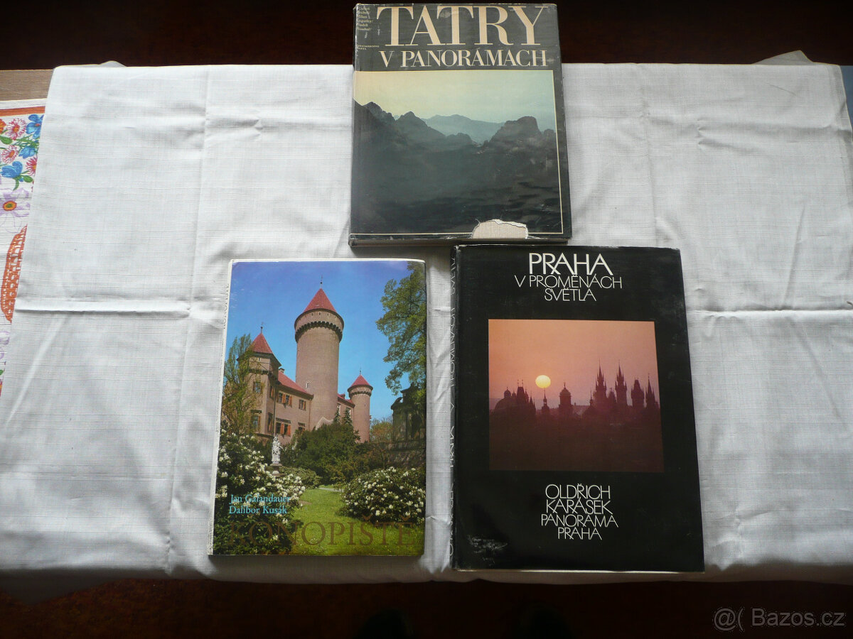 Starší knihy různého zaměření - 12