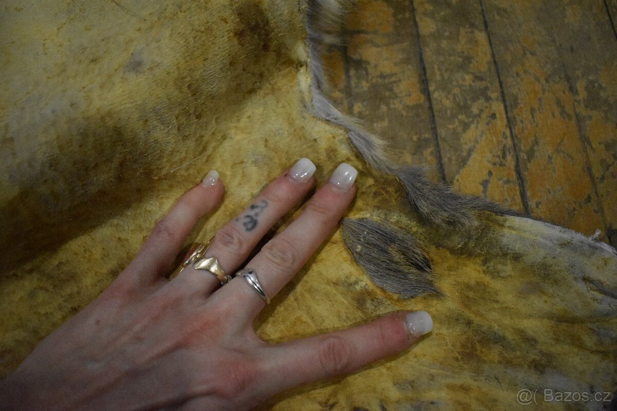 Kožešina Srna 1 - 12