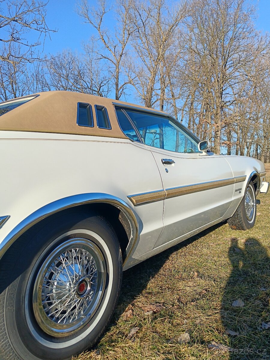 Prodám Ford Grantorino - 12