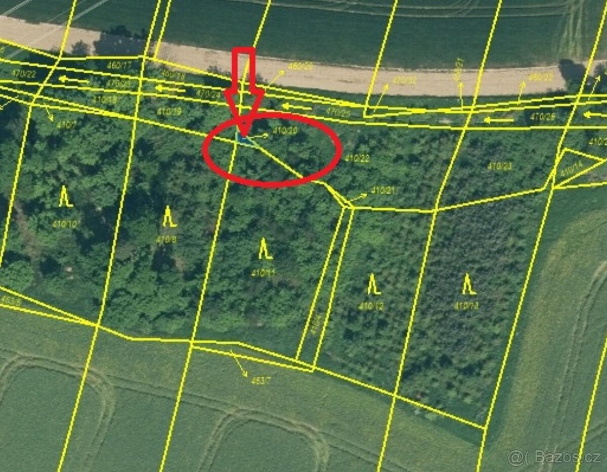 Prodej lesních pozemků v k.ú. Kočín - 12