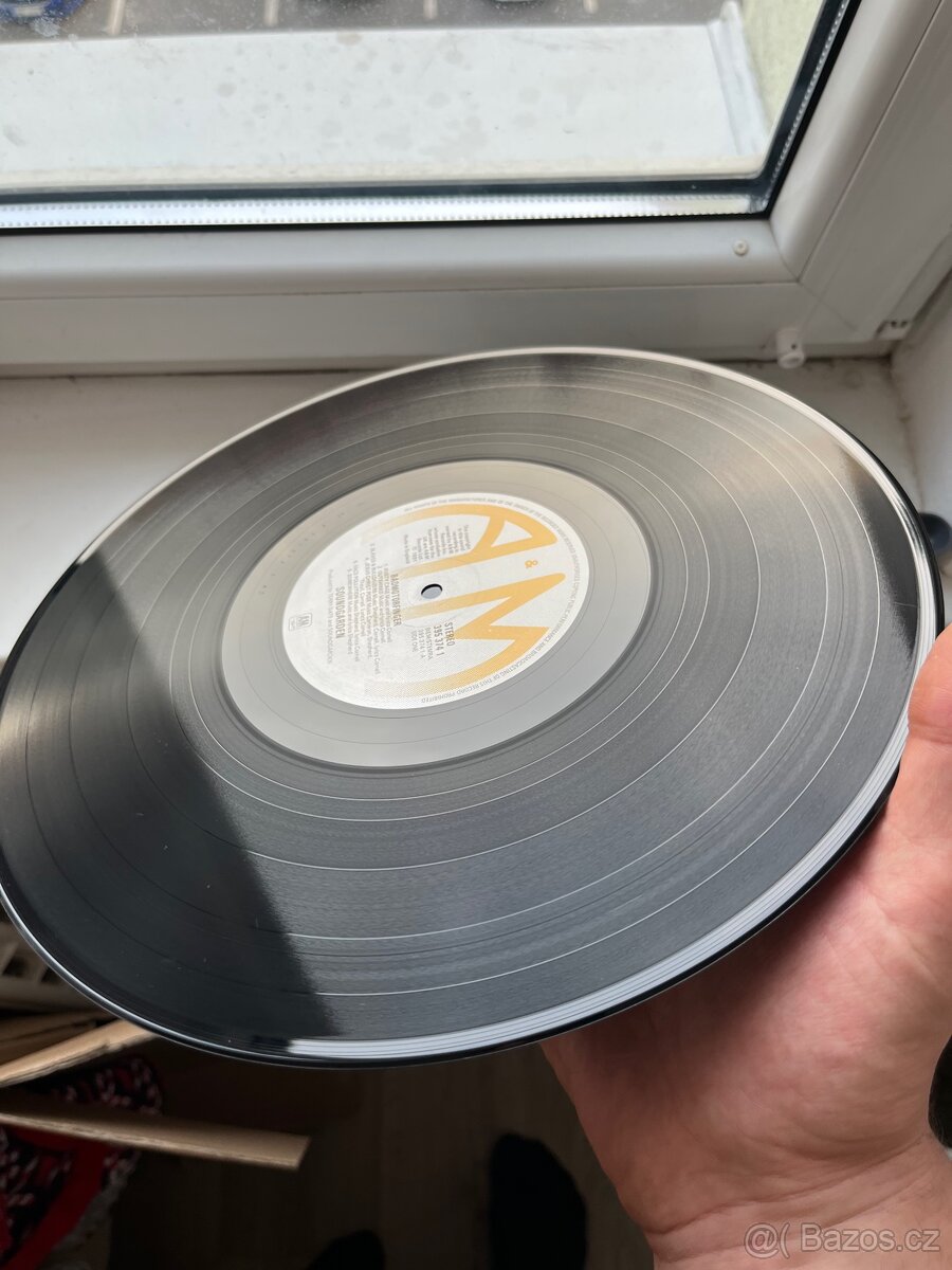 Soundgarden – Badmotorfinger - 12