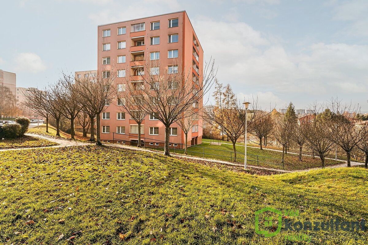 Pronájem bytu 2+1 s lodžií a sklepem, ev.č. 00925 - 12