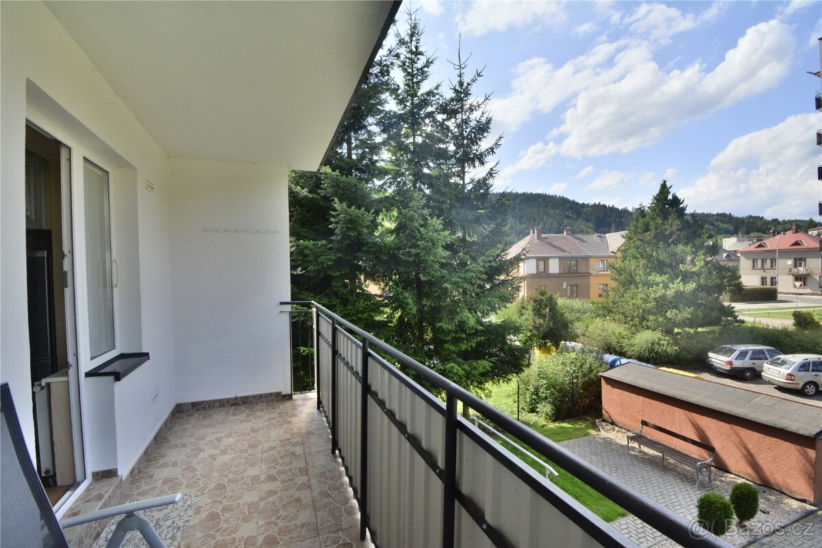 1+1 2m² Úpice - 12