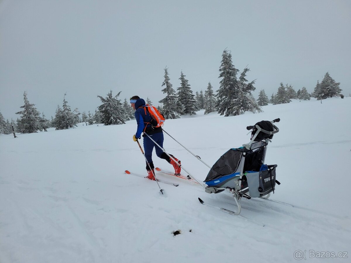 Thule Chariot CX - 12