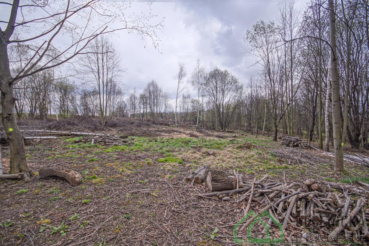 Prodej pozemku v obci Terezín u Mikulovic - 12