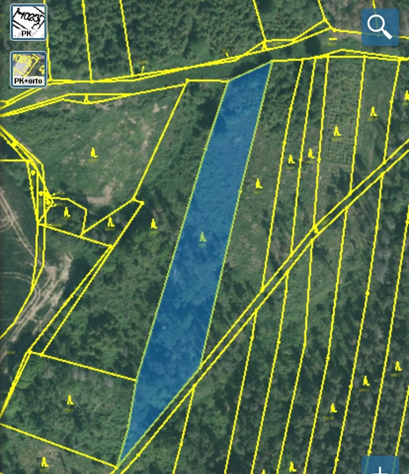 Lesní pozemek Lštění nad Zubřinou - 12