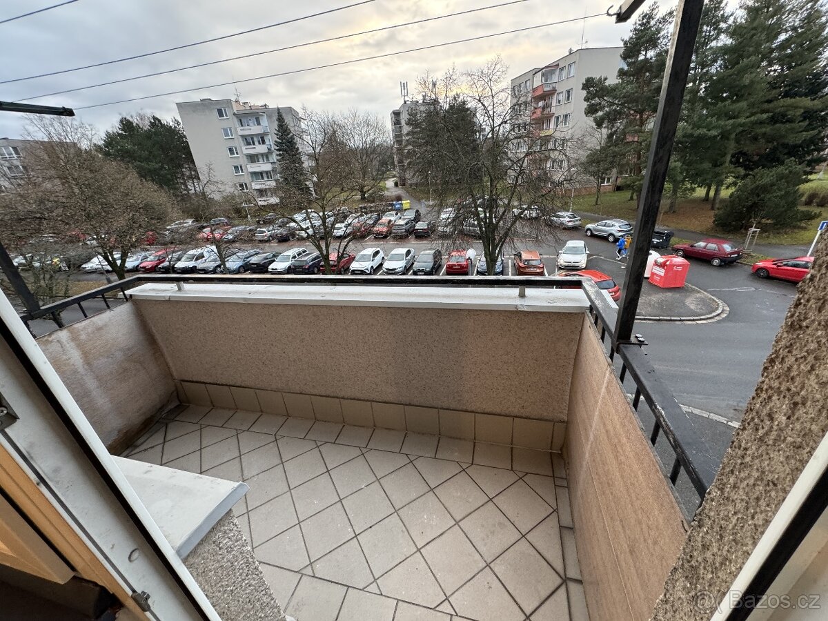 Nadstandardní 1+1, Hradec Králové - Malšovice - 12