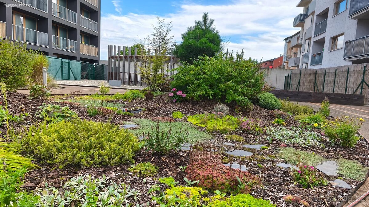 Prodej bytu 3+kk 70 m² Košinova, Brno - Královo Pole - 12