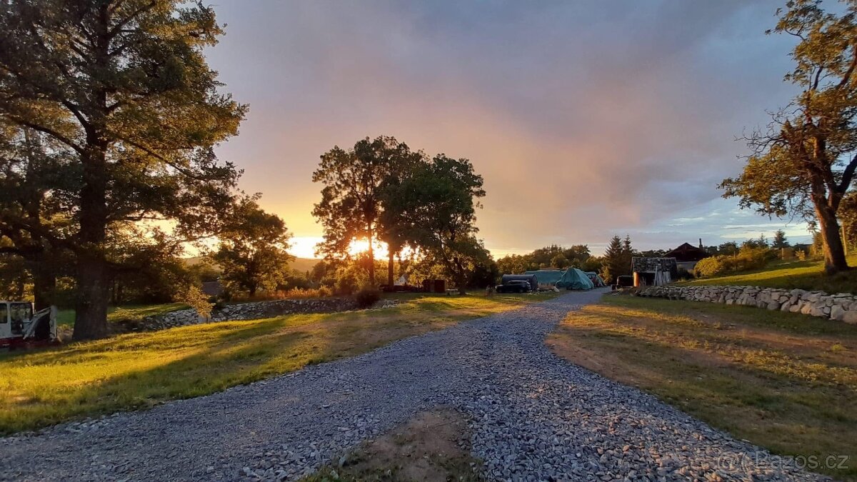 Pastevní ustájení v ráji i pro DUŠNÉ koně PRAHA 35 minut - 12