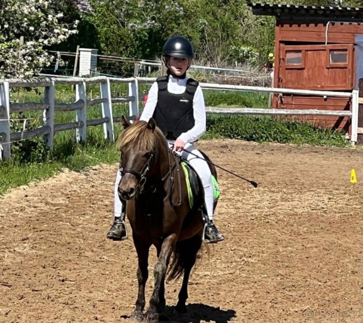 Scháním pronájem koně - 12