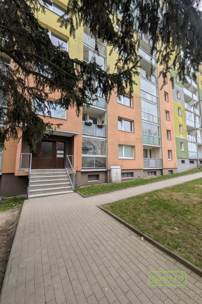 Prodej družstevního bytu 3+1 Dobiášova, Liberec - 12